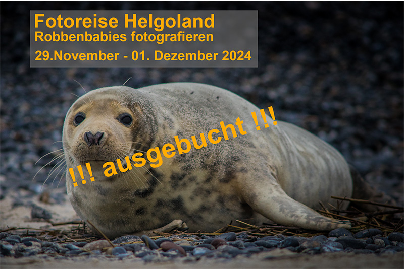 Helgoland-Winter