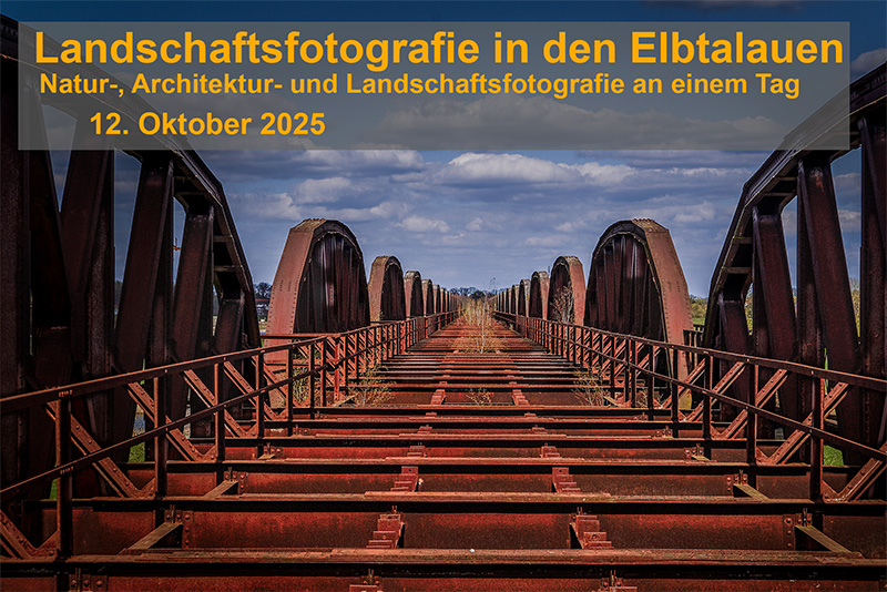Elbtalauen