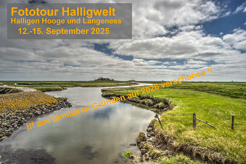Halligwelt