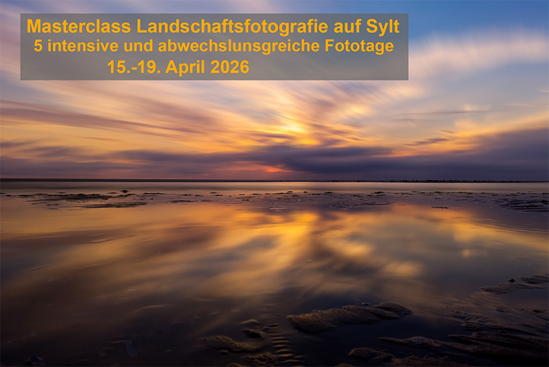 SyltMasterclass1