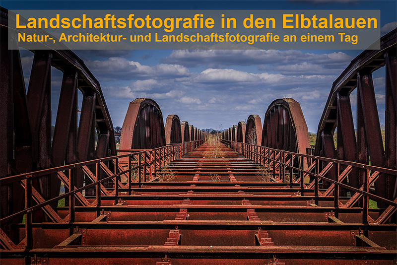 Elbtalauen