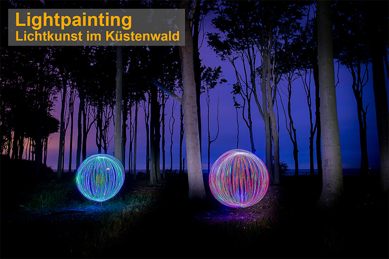 LichtkunstKüstenwald
