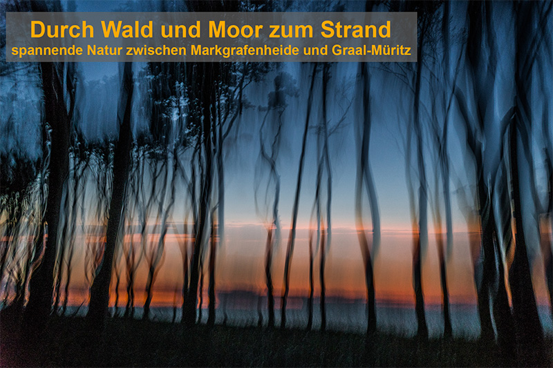 MarkgrafenheideMoor