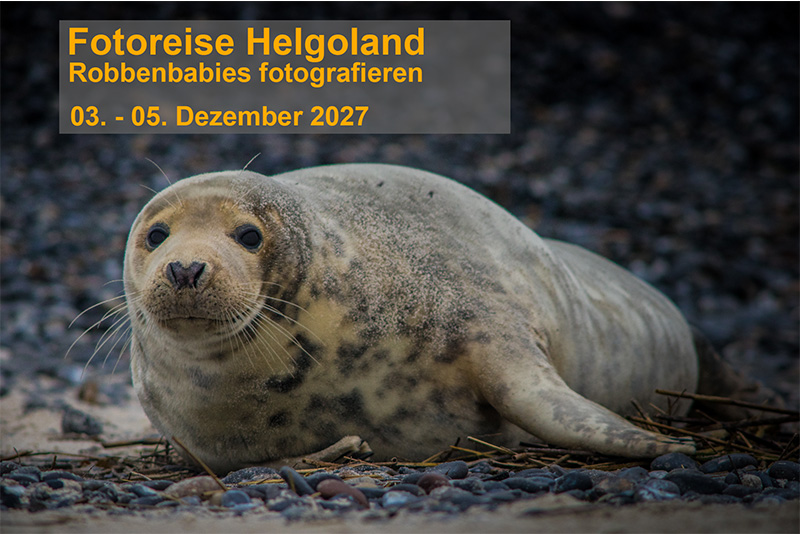 Helgoland-Winter