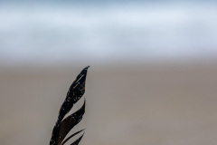 CUH_9108-1