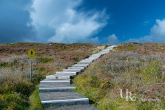 UR-2022-10-08-Duenentreppe