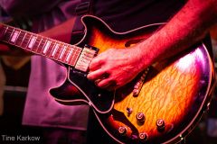 GuitarDetail-Kopie