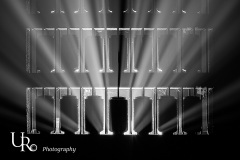 Fototour Ohlsdorfer Friedhof bei Nacht