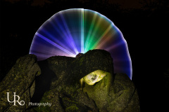 UR-2022-10-21-01-Lightpainting-Ohlsdorfer-Friedhof