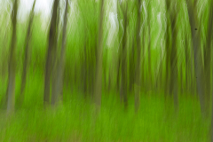 1263028