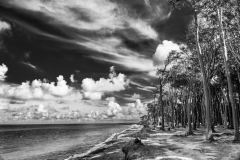 DSC0554-HDR